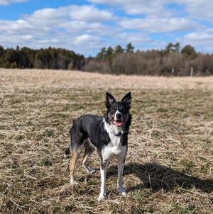 Meet your Posher, Janella